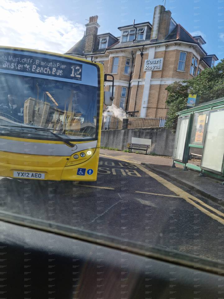 Image of Yellow Buses vehicle 2024. Taken by Victoria T at 09.58.58 on 2022.02.22